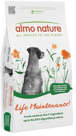 Holistic hundfoder Large med lamm och ris (12 kg)
