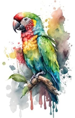 adrium Acryl-Bild 50 x 80 cm: Illustrationspapagei im Aquarell. Tier auf weißem Hintergrund. Generative KI (201706178)