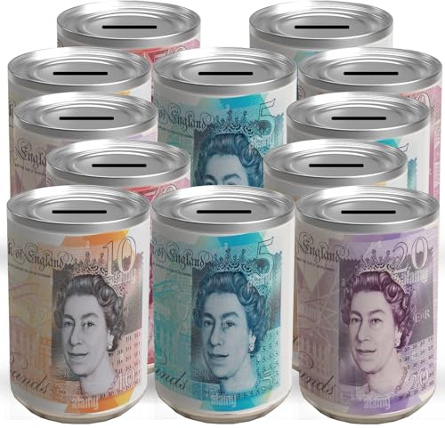 EXPECTRO 12pcs MONEY TIN BOX Sterling Bank Note -TIN Piggy Bank, Coin Tin, Cash Tin, Savings Tin, Money Can, Birthday Money, Holiday & Christmas Fund (12X Medium Random)