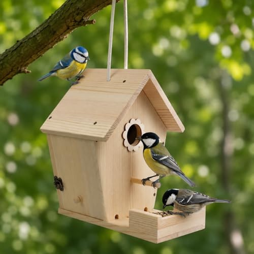 Casetta per uccelli da giardino, scatola per uccelli in legno con vassoio per mangiatoia, 35 mm, per cinciarella e passero, casette per uccelli da appendere per giardini all'aperto