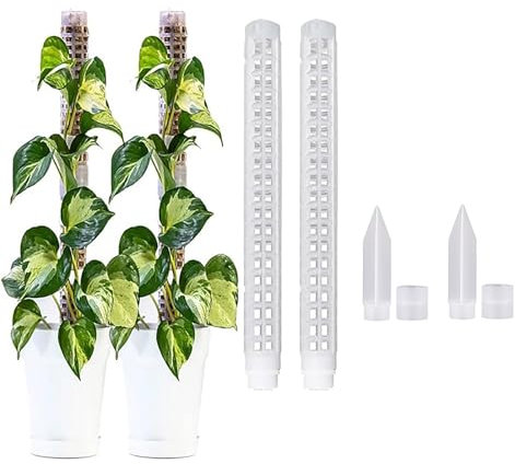 Palo di muschio per piante rampicanti, 37 cm, 2/4 bastoncini di muschio in fibra di cocco, totem, supporto per piante, pali di supporto per piante in vaso, pothos, filodendro (4)