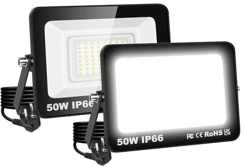 RIGIDON 2x Foco LED Exterior, 50W 5000LM Foco Proyector LED con Enchufe | 6000K Blanco Frío, IP66 Impermeable, Iluminación de Seguridad, Reflector Floodlight para Jardín Patio Garaje Hof Terraza
