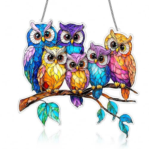 Eulen Fensterdeko Hängend, Buntes Sonnenfänger Acryl, Gartendeko für Draußen Wetterfest, Fensterschmuck Hängend für Wohnzimmer, Balkon Deko, Suncatcher Geschenke für Damen, Männer, 20x20cm