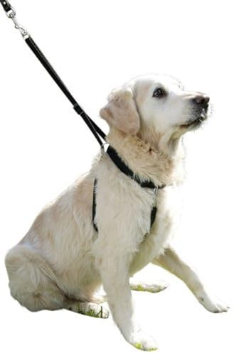 MAXI LEADER Erziehungsgeschirr Größe 2 schwarz