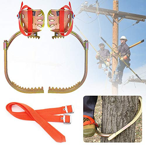 Steigeisen für Bäume, Rostfreier Stahl Baumklettern Ausrüstung, Kletterbäume Werkzeug für Klettern Jagdbeobachtung Kommissionierung Obst,600model