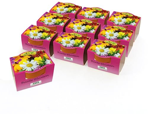 Bull & Bear 10er Set Minipflanzset Bunte Blumen, Blumensamen im Topf 40mm, Mini Blumen als Anzuchtset mit Pflegeanleitung