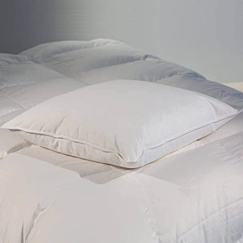 CASTEX- Oreiller Plat Moelleux Plume-Duvet 60x60