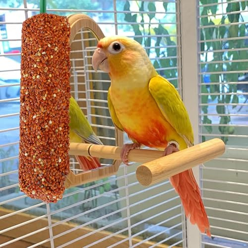 Parakeet Treat Sticks - 51x0.98x0.98 Inches Nutritious Bird Snack Sticks | Natural Seed And Honey Treats For Parakeets, Budgies, Cockatiels, Small Birds | Bird Treat - Snack