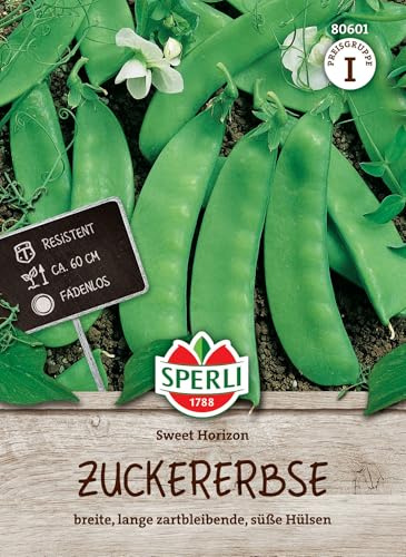 Sperli Zuckererbsensamen Sweet Horizon 80601, Gemüsesaat | Ca. 60 cm, Höhe 60-80 cm, Standfest