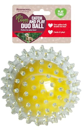 Rosewood Jolly Doggy Balle de Tennis Attraper/Jouer Jouet pour Chien