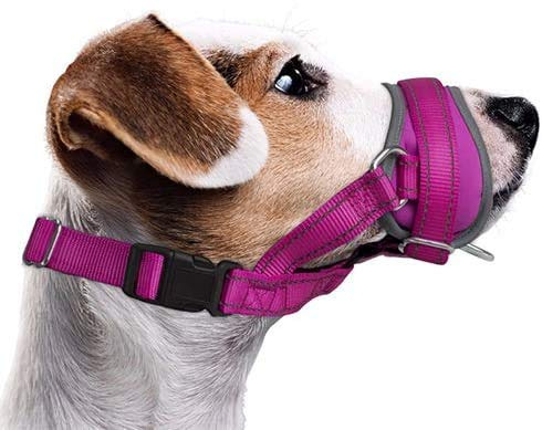 Nasjac Maulkorb für Hunde, Verstellbare Weicher Nylon maulkorb um Beißen zu verhindern Anti-Bellen Stoppen Sie das Kauen Essen Atmungsaktiv Hundemundschutz für kleine Hunde