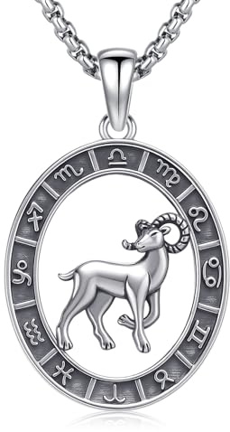 REDSUN stjärntecken halsband 925 sterlingsilver stjärnbild hänge 12 konstellation oxiderat halsband smycken för kvinnor och flickor, 26*21mm, ingen sten, Inga ädelstenar
