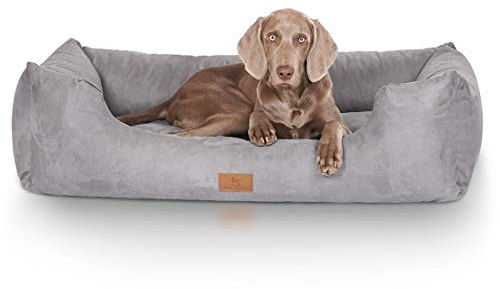 Knuffelwuff Hundebett Dreamline aus Velours XL 105 x 75cm Grau - abnehmbarer Bezug - leicht zu reinigen - für große, mittelgroße und kleine Hunde