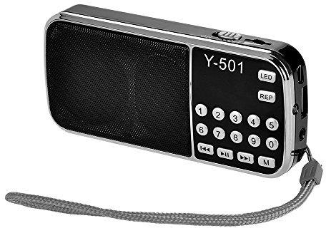 Docooler Mini Digital FM Radio Portable 3W Stereo Speaker MP3 Audio Player Hi-Fi Sound Quality w/ 0.75 Inch Display Screen LED Flashlight Support USB Drive TF Card AUX-IN Earphone-out