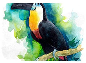 Teppiche für Wohnzimmer, Schlafzimmerteppich, Flureingangsteppich,Aquarell Tukan tropisches Tier