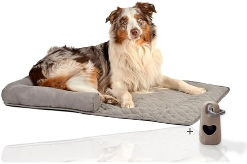 Rohrschneider Weiches Couchkissen für Hund | Hundebett als Sofaschutz, Hundedecke für Sofa mit Rand, Möbelschutz Kofferraumschutz, Hundeliege für Sofa und Couch