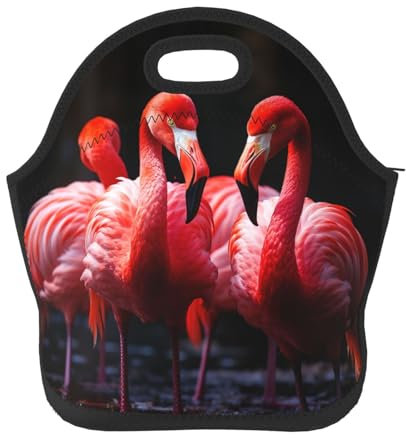 Ousika Bolsa de almuerzo de neopreno para mujeres y hombres, flamencos en fondo negro, lonchera aislada, bolsa de almuerzo portátil, reutilizable, lavable, lonchera para viajes, picnic, camping,