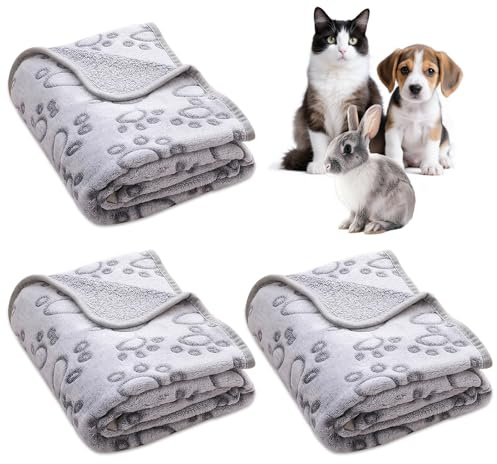 CKUESM 3 Stück Hundedecke, Katzendecke 60x40cm Kuscheldecke Flauschig Sofa Hund Decke Waschbar Weiche Fleece für Kleine Katzen und Mittelgroße Hunde Kuscheldecke