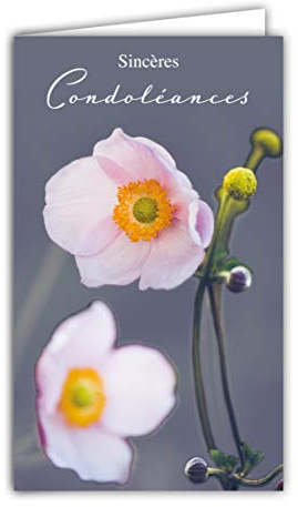 AFIE 24-1034 Carte Sincères Condoléances Format 16x9,5cm avec Enveloppe Blanche Décès et Deuil - Cérémonie Funéraire - Fleurs Roses - Fabriquée en France