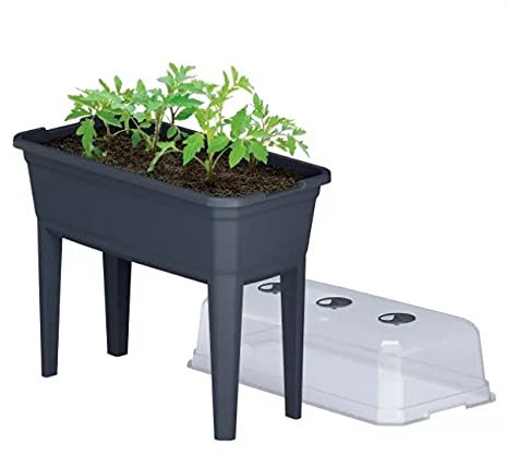 Hochbeet Anzuchttopf Blumentopf Frühbeet Gewächshaus Blumenkasten mit Abdeckung Anthrazit (750)