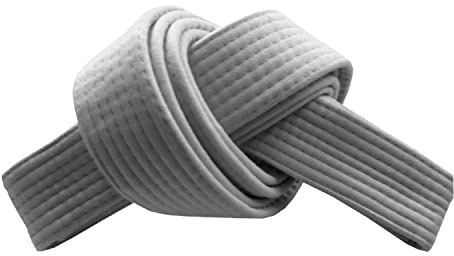 RingMaster Sports Grading Belts 9 Plain Colour for Karte Judo Taekwondo Martial Arts Training Competition | 230cm, 250cm, 280cm, 320cm (White, 250 cm)