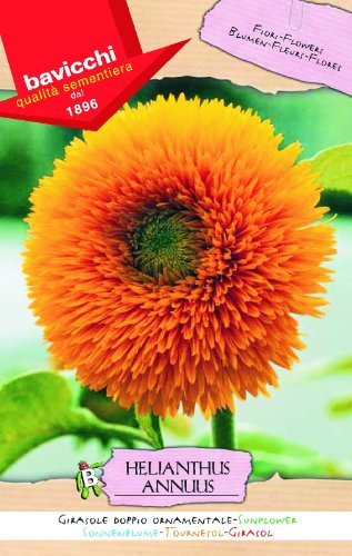 Bavicchi Semi di Girasole Doppio Ornamentale 4g Helianthus annuus
