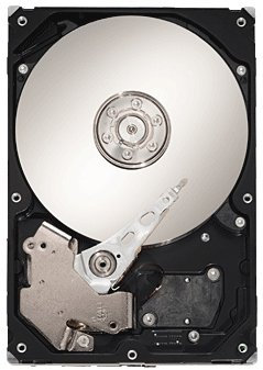 Seagate Barracuda ST31000528AS Interne Festplatte 1TB (8,9 cm (3,5 Zoll), 7200 rpm, SATA 3GB/s, 32MB Cache) bulk