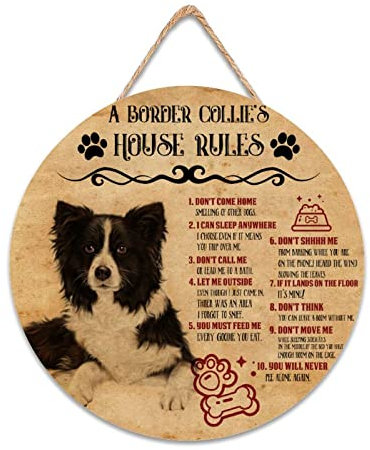CustonCares Dogs Rules Hausschild Willkommensschild Haustürschild Hund Geschenk Veranda Wanddekoration Retro Holzschild Erstes Zuhause Geschenke 30,5 x 30,5 cm rund