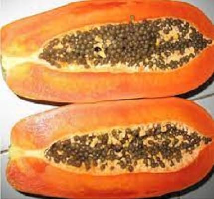 Nouveau frais 100pcs graines de fruits de papaye