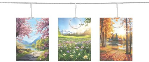 QUARKZMAN Cavo in Acciaio per Appendere Foto al Muro con 12 Clip Rotondo, Cornici per Foto Sospese da 5 Piedi per Decorare La Parete con Collage di Foto per Cartoline Arte Argento
