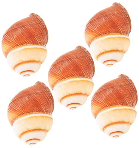 Cabilock 5stücke Natürliche Schneckenschalen Für Restaurants Edible Escargot Shells Mit Wärmeisolierender Und Dickem Design Für Schmackhaftes Französisches Kochen