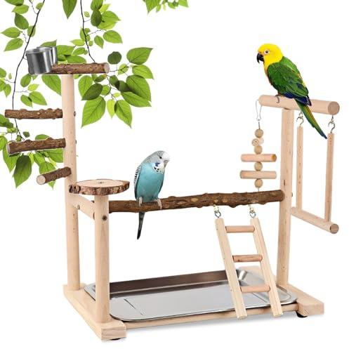 Bird Playground Parrot Play Stand, Parrot Playstand Wood Gym, Bird Perch Toy, Playground Play With Feeder Cup Perch Stand Gym For Small To Medium
