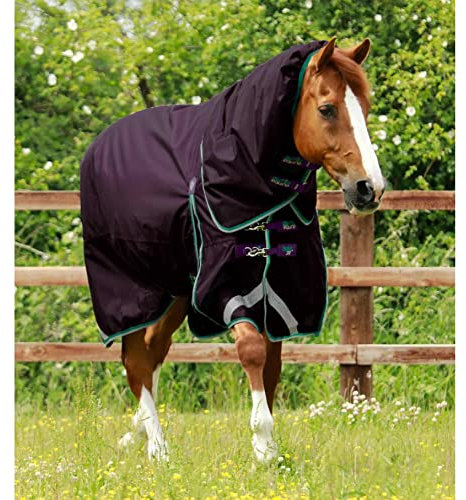 wasserdichte Outdoor-Decke für Pferde mit Halsabdeckung Premier Equine Buster 200 g