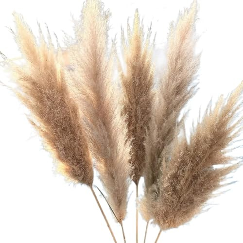 Pampas Secas Decoracion Arreglos Florales Grandes de Hierba la Pampa Ramo Boda Ural Esponjoso Ceremonia Flores secas Altas Decoración jardín casa Moderna(3pcs)