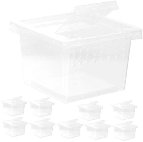 BESPORTBLE Reptilien Futterbox 10 Stück Transparent Belüftet Praktischer Futterbehälter Für Spinnen Eidechsen Und Insekten Reptilienhabitat Inkubator Für Reptilien