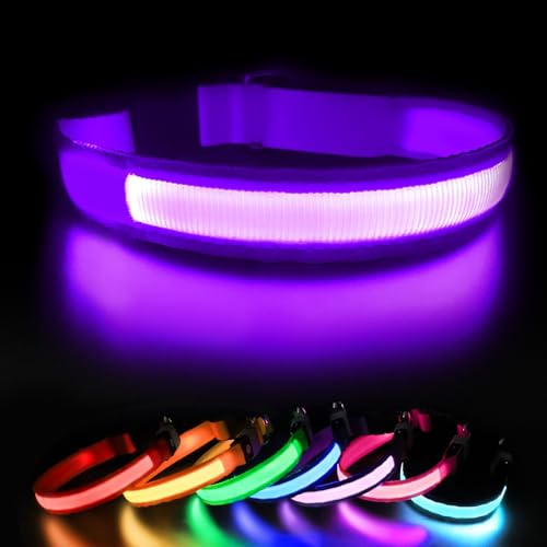 Leuchthalsband Hund Aufladbar, Hundehalsband Leuchtend, LED Halsband für Hunde Leuchtband Einstellbar Wasserdicht mit 3 Lichtmodi Sicherheit Hundehalsband für Kleine Mittlere Große Hunde, Lila-M | LED hundehalsband 3 Blinkmodi, Wasserdicht,Verstellbar, Leicht, für Hund 11-30kg, Lila M