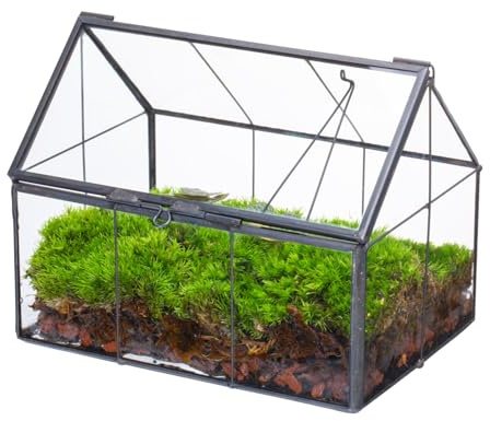 NCYP Geometrisches Mini Glas Terrarium mit Deckel, 15,5 x 10,8 x 12,5 cm, Hausform geschlossener Übertopf für kleine Sukkulenten Pflanzen, Handgefertigt Heimgarten Büro Tischdekoration (Nur Terrarium)