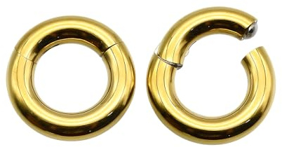 Nasenringe aus 316L chirurgischem Edelstahl, mit Scharnier, für Nasenloch, Septum, Labret-Lippe, Helix-Knorpel, Daith Rook, BCR / PA-Piercing, großes Ohrläppchen, 2 Stück, 20G-00G Thickness, Edelstahl