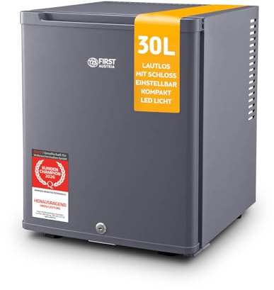 TZS First Austria - Mini réfrigérateur 30L complètement silencieux - Petit mini-frigo avec porte réversible et lumière intérieure - Minibar pour camping, bureau, chambre & hôtel - Anthracite