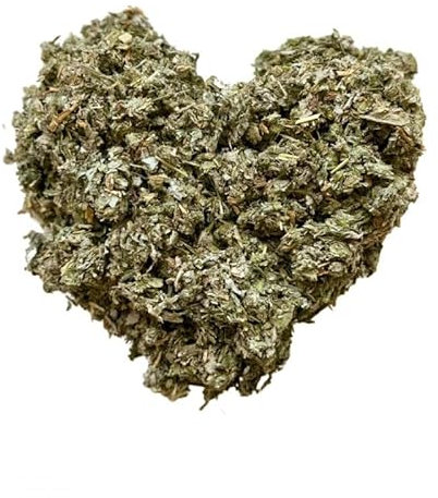 Tisane Artichaut feuille CT Cynara scolymus.