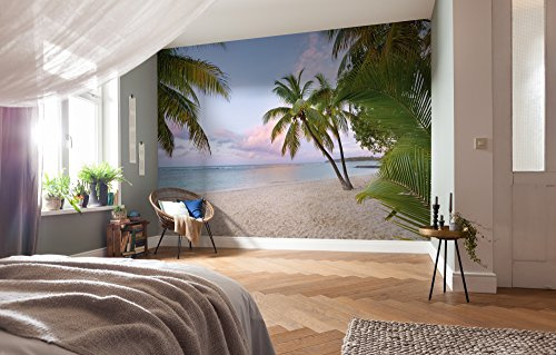 Komar 1 – xXL4 – 528 368 x 248 cm paraíso mañana de National Geographic Mural papel pintado – azul (4 piezas)