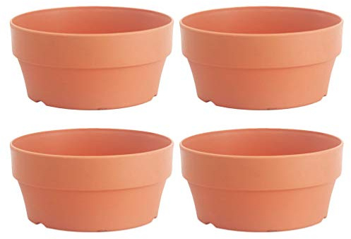 4 Stück Kunststoff Blumentöpfe Flache Pflanzgefäße Sukkulente Kaktus Blumentöpfe mit Drainageloch für Indoor Outdoor Hochzeit Begünstigt Geschenke