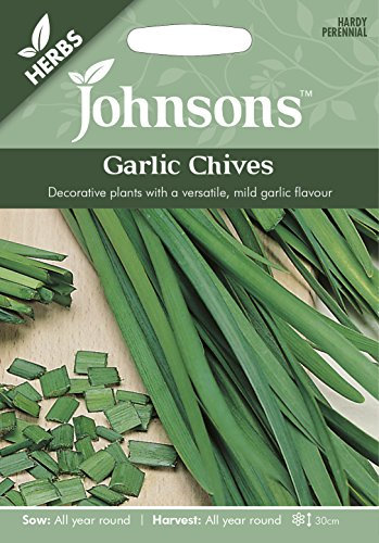 Johnsons Seeds Garlic Chives Seed