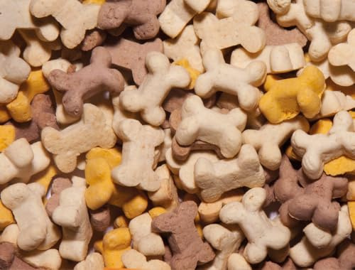Nobby StarSnack Cookies Puppy Eimer 1,3 kg