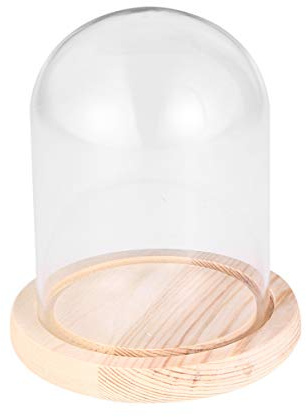 FOMIYES Cloche en Verre pour Centre de Table, décoration de Table, décoration de Table, Base en Bois 10 x 14 cm