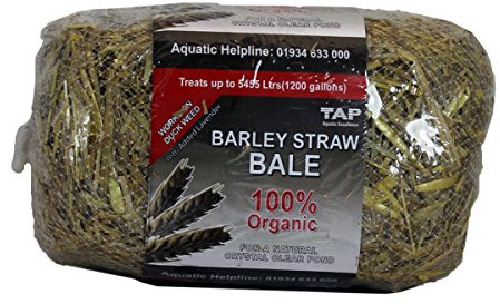 Barley Straw Bale - treats ponds up to 1200 Gallons