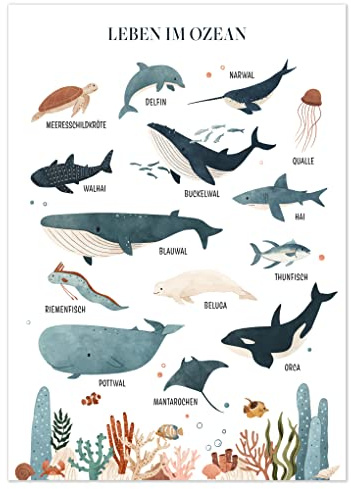 kizibi® Unterwasserwelt Poster für Kinder DIN A2 | 14 Meerestiere | Meerestiere Lernposter fürs Kinderzimmer, Meer und Ozean entdecken, als Wanddeko oder Geschenk für Kinder