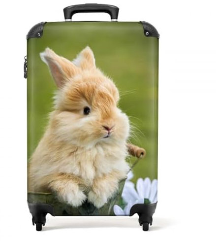 NoBoringSuitcases.com® Kinderkoffer mit Rollen, Koffer für Kinder, Trolley, 10 kg, Reisekoffer für Kinder, Handgepäck (Kaninchen - Grün, 55x40x20 cm)