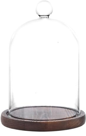 PCYMYN Glass Cloche Dome Bell Jar Display Case with Small Ball Top and Wooden Base for Plant,Collectibles (Medium:4.7 * 6.3 inches)
