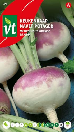 Garden Turnip De Milan Seeds - 6 g - Seeds: 500